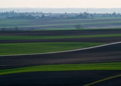 Fields Patchwork