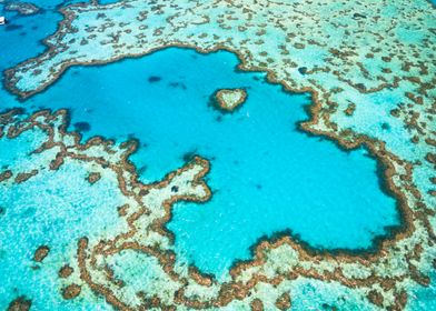 The Great Barrier Reef