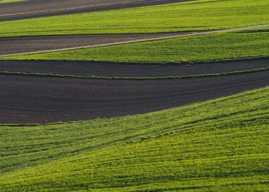 Fields Patchwork