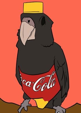 cola bird