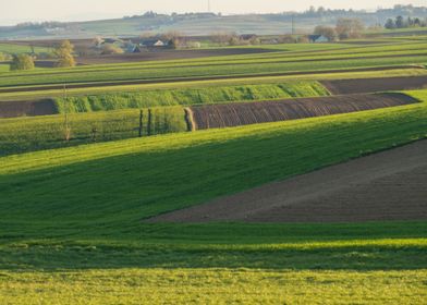 Fields Patchwork