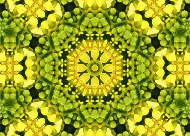 Yellow Kaleidoscope 2
