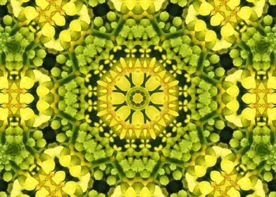 Yellow Kaleidoscope 2