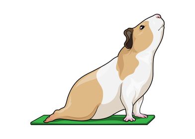 Guinea pig Yoga Fitness