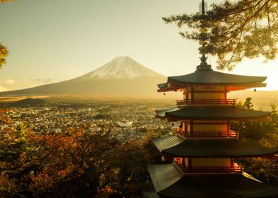 fuji mount with sakura