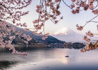 Fuji Mountain  with Mornin