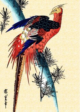 Vibrant Pheasant