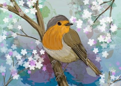  Robin in a blossom tree