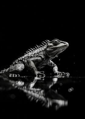 Monochrome Basilisk Lizard