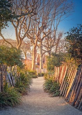 footpath in the park