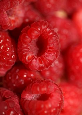 Red raspberries fruits