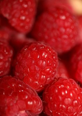 Red raspberries fruits