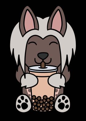 Chinese Crested Boba