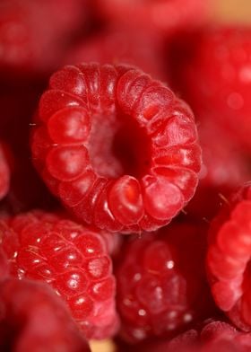 Red raspberries fruits