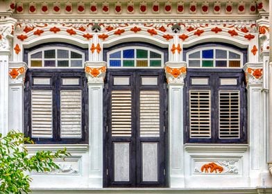 The Singapore Shophouse