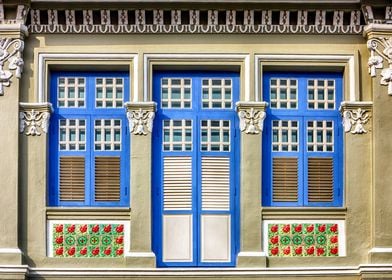 The Singapore Shophouse