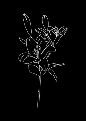 One line art flower botani