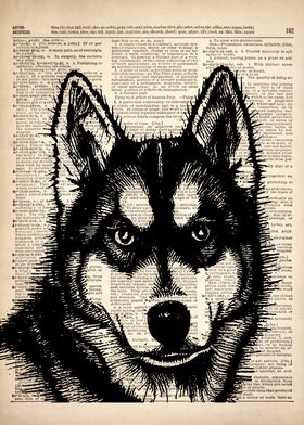 Husky DOG ILLUSTRATION