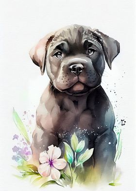 Cane Corso Watercolor