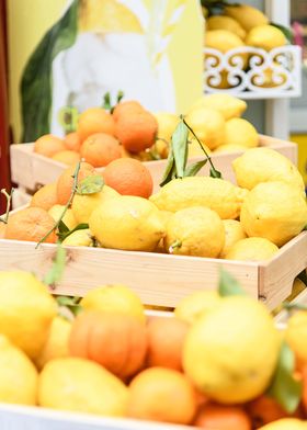 Amalfi Lemons Oranges 1