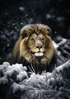 Snow Lion