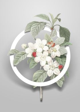 Apple Blossom Flower Art