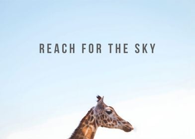 Reach for the Sky