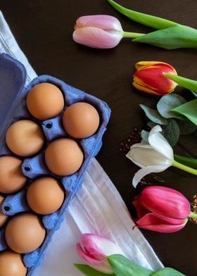 Eggs and Tulips