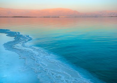 nature dead sea