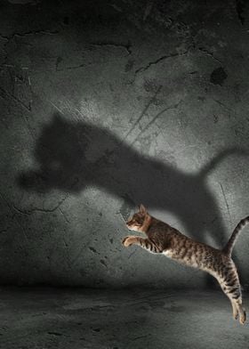 Cat Mindset Tiger Shadow