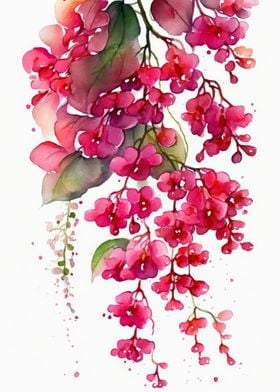 Bougainvillea Flowers