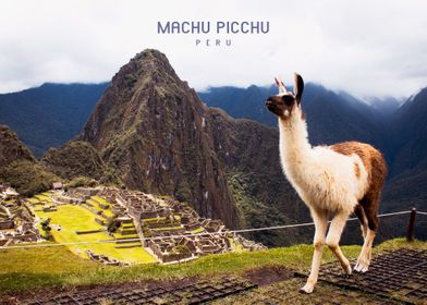 Machu Picchu 