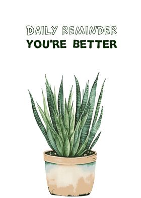 Hawortia Plant Quote