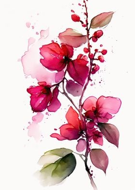 Bougainvillea Flowers