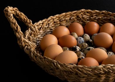 Basket of Eggs on an Angle