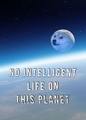 No Intelligent Life