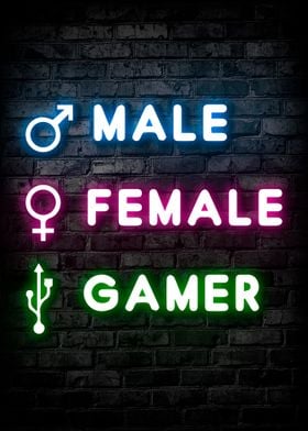 Male Female Gamer