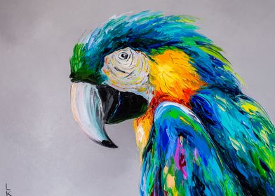 Macaw 2