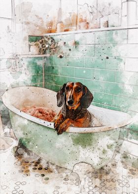Funny Dog Bathroom