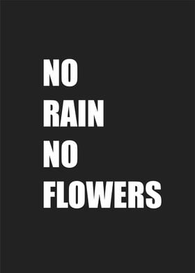 no rain no flowers