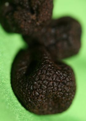 Black winter truffes macro