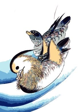 Mandarin Ducks 