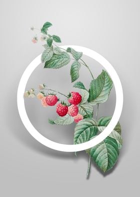 Vintage Red Berries Flower