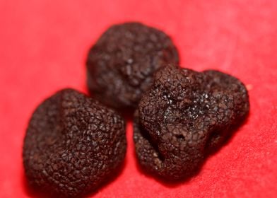 Black winter truffes macro