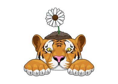 Tiger Daisy Flower