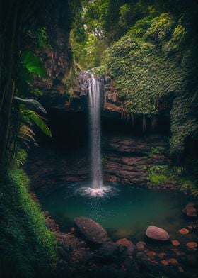 Waterfall Jungle