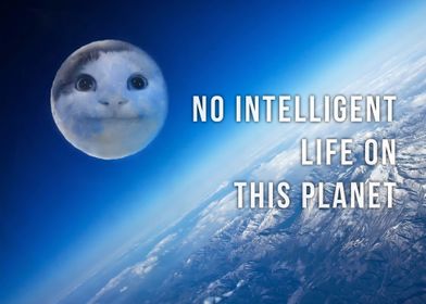 No Intelligent In Planet