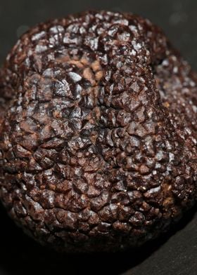 Black winter truffes macro