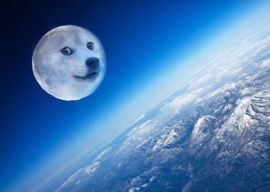 Doge Planet