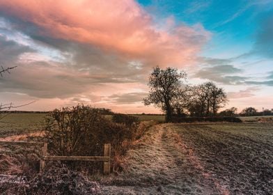 Pink Sky Sunrise